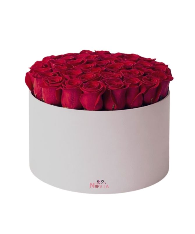 50 classic roses in white box