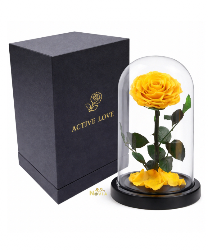 Infinity Yellow Single